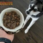 farmer's dog food cost